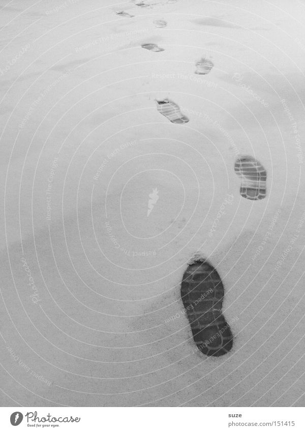 Hot trace Winter Snow Footprint Walking Tracks Chase Impression Shoe sole Detective Search Black & white photo Exterior shot Pattern Deserted Copy Space left