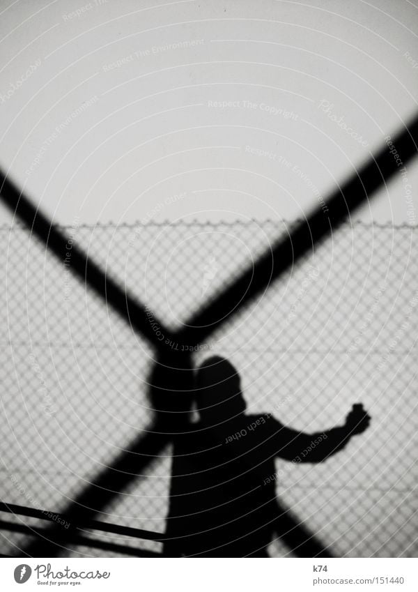 x-mas Shadow Light Human being Man Knot Node Reticular Fence Contact Black & white photo Exterior shot