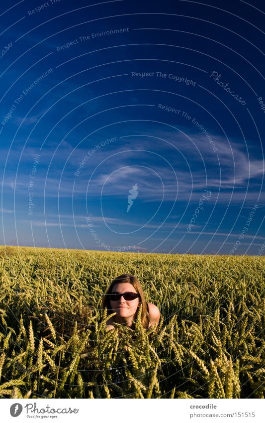 game of hide-and-seek Hide Wheat Field Woman Duck down Clouds Sky Sunglasses Head Hair and hairstyles Playing Pol-filter Summer Beautiful