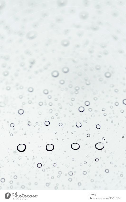 s-0000- many zeros Drops of water Bad weather Water Sphere Beaded Simple Near Wet Round Background picture Minimalistic Reduced Progress Dreary Colour photo