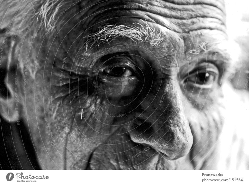 Albert. Grandfather Generation Wisdom Wrinkle Past Erudite Old World War Earmarked Smart Fatigue Man Senior citizen Time Transience Retirement