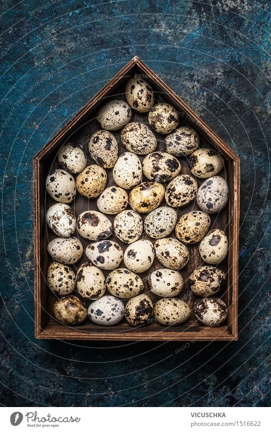 Quail eggs in rustic wooden box in house shape Food Style Design Healthy Eating Life Decoration Easter Nature Symbols and metaphors Egg Quail's egg Crate