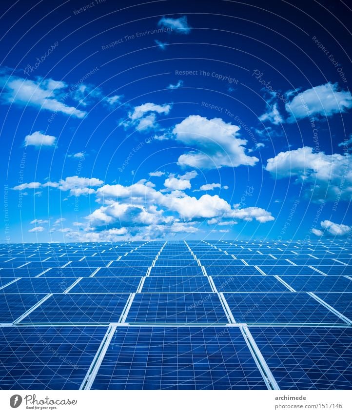 Photovoltaic panel Summer Sun Science & Research Industry Technology Environment Nature Plant Sky Clouds Climate Grass Modern Clean Blue Green Protection Energy