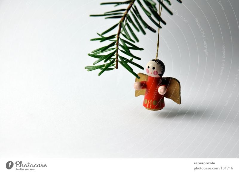 Lonely Angel Decoration Wing Grief Loneliness Distress Fir branch Wooden figure Fir needle Colour photo Subdued colour Neutral Background Close-up 1 Suspended