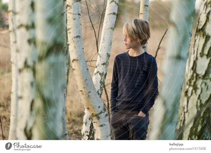 At the edge of the forest Human being Child Boy (child) Infancy Life Head Hair and hairstyles Face 1 Stand Birch wood Tree bark Forest Colour photo