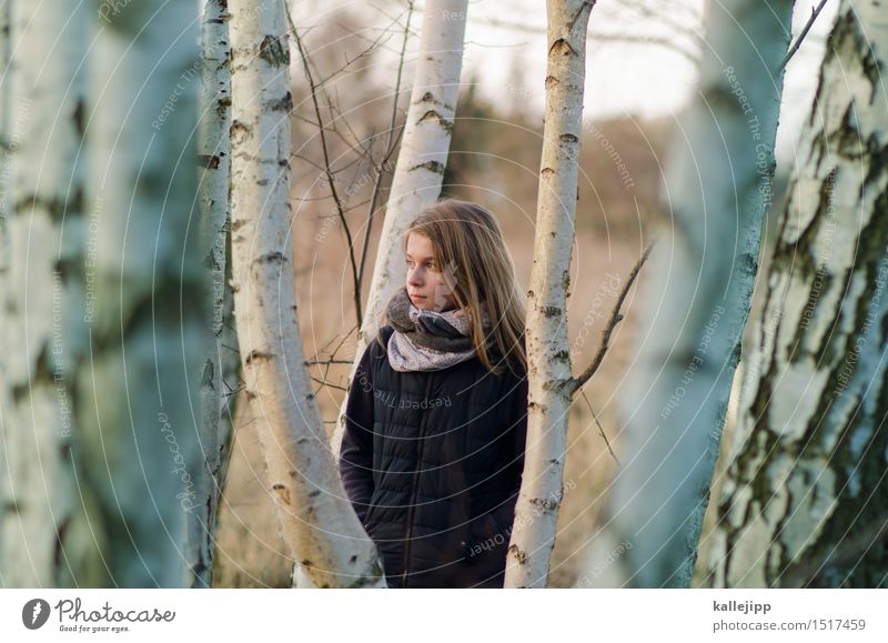 At the edge of the forest Girl Life Hair and hairstyles Face 1 Human being Environment Nature Landscape Plant Animal Tree Forest Looking Birch wood Infancy