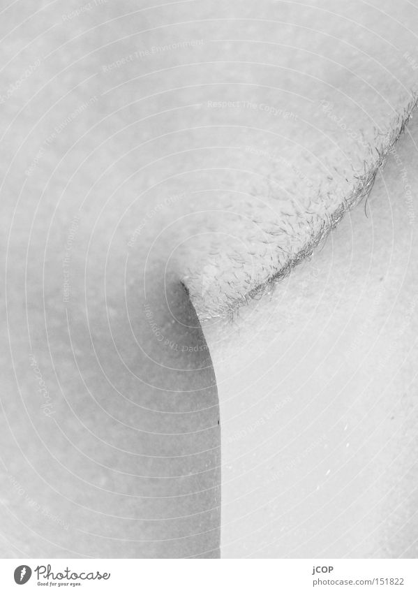 Venus Emotions Odor Skin Black & white photo shot Thigh Legs Hair and hairstyles Intimacy Gender feel