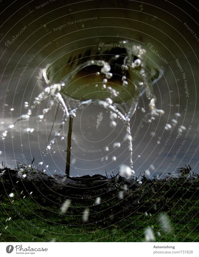 it drips from above Water Drops of water Meadow Dark Wet Blue Puddle Inverted Electricity pylon Contrast Reflection Water reflection Grass Sky Mirror image