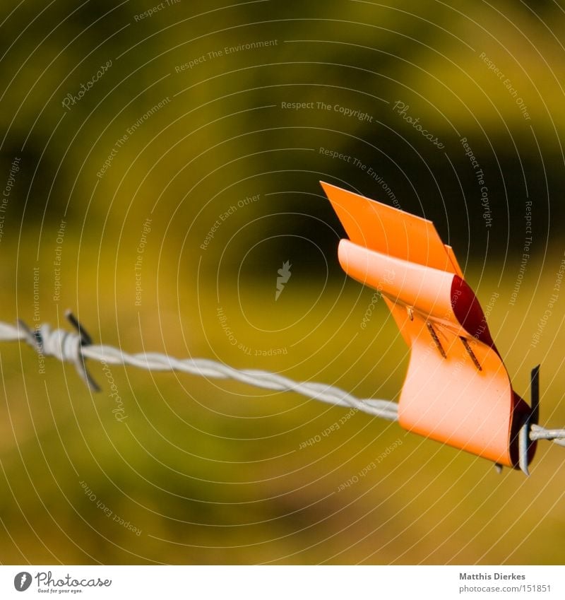 mark Fence Barbed wire Signs and labeling Nature Agriculture Flag Obscure Pasture Orange Warning label Signal