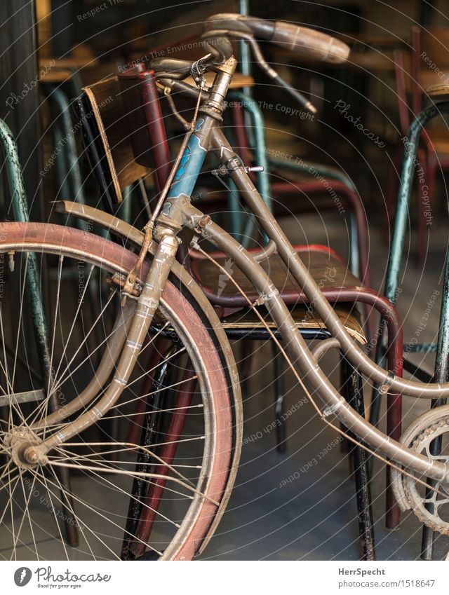 eye-catcher Chair Bicycle Wood Metal Old Esthetic Retro Beautiful Blue Brown Gray Ladies' bicycle Bicycle handlebars Bicycle frame Decoration Parking