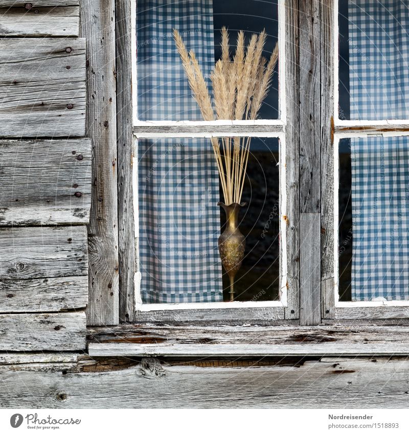 At the window Redecorate Decoration Fishing village House (Residential Structure) Hut Facade Window Bouquet Wood Glass Living or residing Poverty Maritime Calm