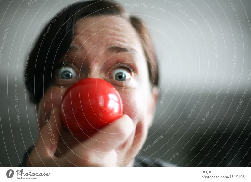 Close up portrait of a woman with red clown nose Lifestyle Joy Leisure and hobbies Entertainment Feasts & Celebrations Carnival Woman Adults Face Nose Pug nose