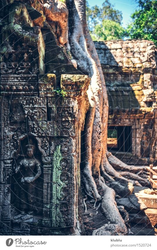 Angkor Thom in Cambodia Vacation & Travel Tourism Culture Earth Tree Park Virgin forest Rock Ruin Building Architecture Monument Stone Old Historic Wild Society