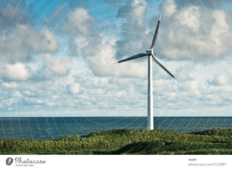 windmill Ocean Economy Energy industry Renewable energy Wind energy plant Environment Sky Clouds Coast Authentic Ecological Colour photo Exterior shot Deserted