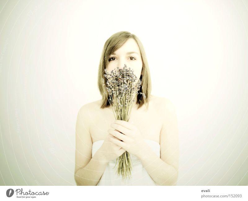 lavender Portrait photograph Lilac Bright Light White Flower Woman Lavender flowers Medicinal plant