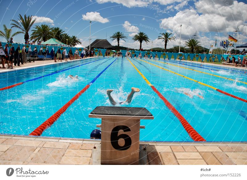 Six in water III Swimming pool Swimming trunks Springboard Water 6 Blue Clouds Palm tree Swimmer (professional sportsman) Beginning Sports Flying Head first