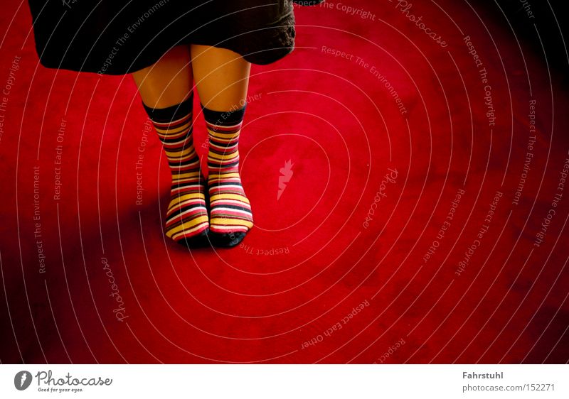 striped socks 1 Carpet Stockings Skirt Legs Living room Woman Red Clothing
