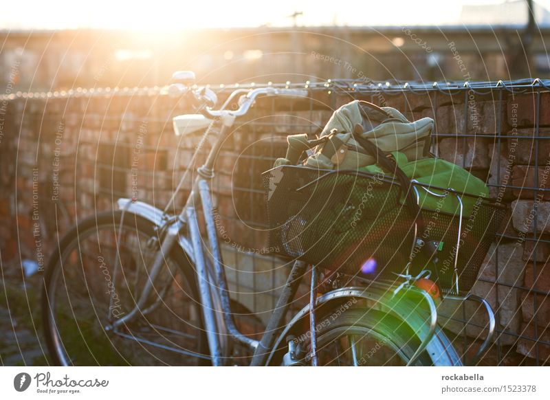 Bicycle in backlight Cycling tour Relaxation Experience Leisure and hobbies Lens flare Exterior shot Evening Sunlight Back-light Shallow depth of field