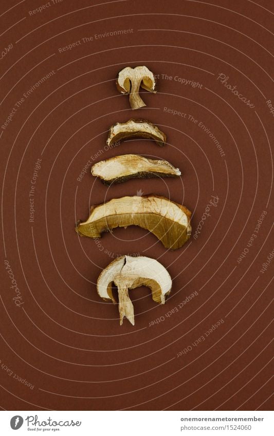 mushroom pile Art Work of art Esthetic Mushroom Dried Brown Forest Woodground Forest plant Symmetry Design Arranged Graphic Delicious Herbs and spices