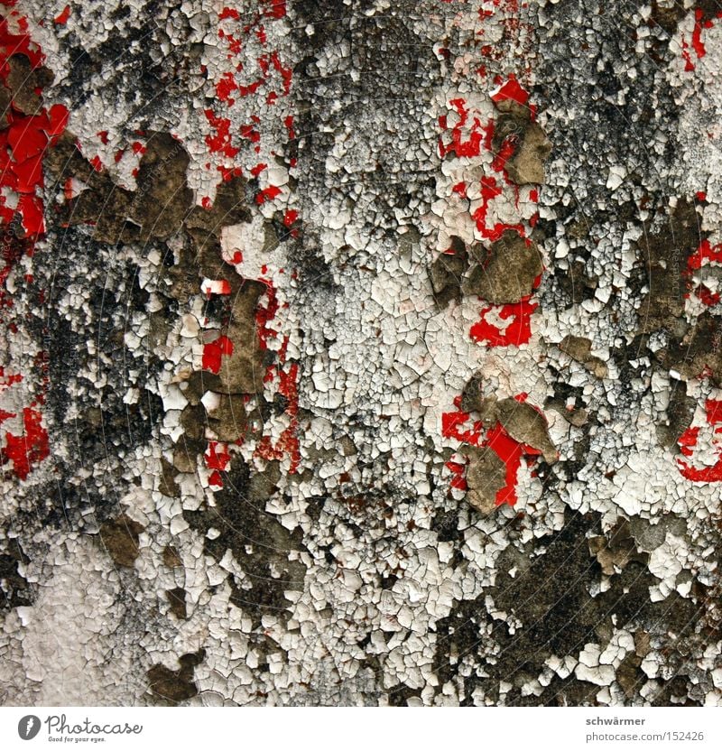 Deep Seeded Urban Decay Decline Wall (building) Gray Contrast Red Colour Plaster Mold Abstract Go under White Concrete Stone Time Weather Derelict