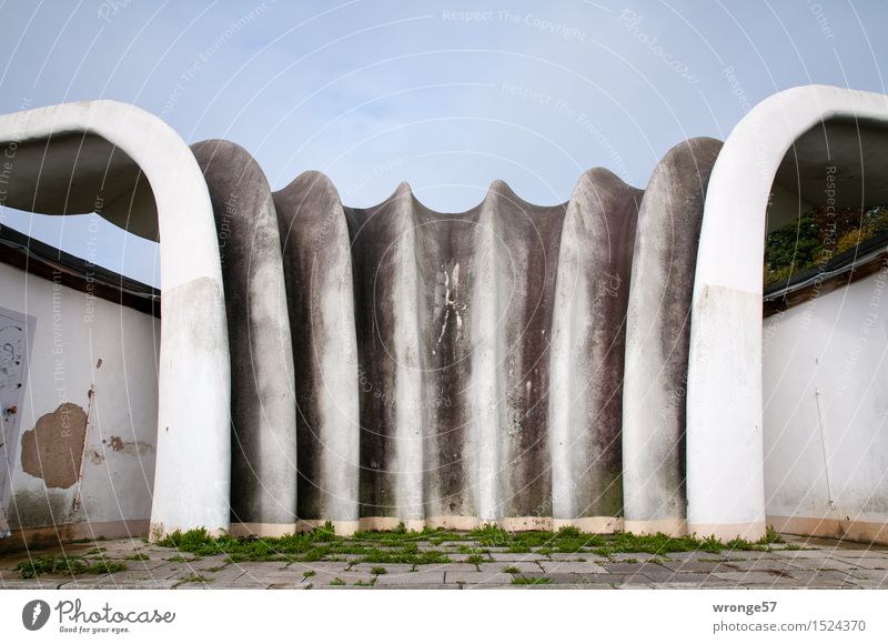 Historical | Shell Shell Sassnitz Germany Mecklenburg-Western Pomerania Europe Small Town Architecture Pavilion Wall (barrier) Wall (building) Facade Monument
