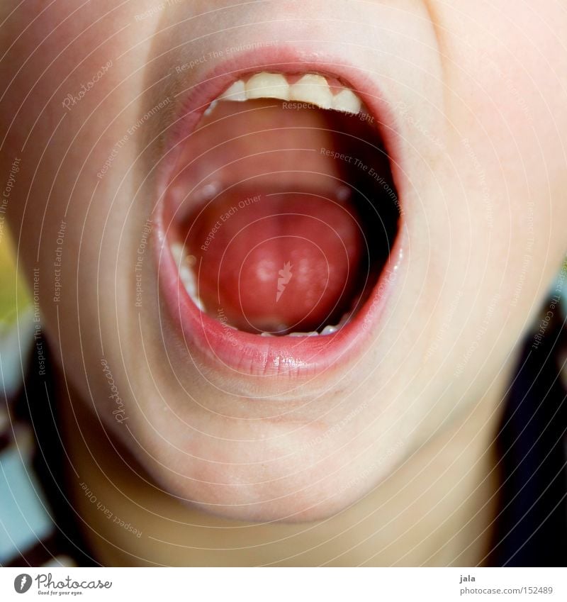 Say aaaaaaaaaaah.... Child Boy (child) Mouth Teeth Healthy Head Tongue Open Dentist Youth (Young adults) Children`s mouth Pharynx Face of a child Detail of face