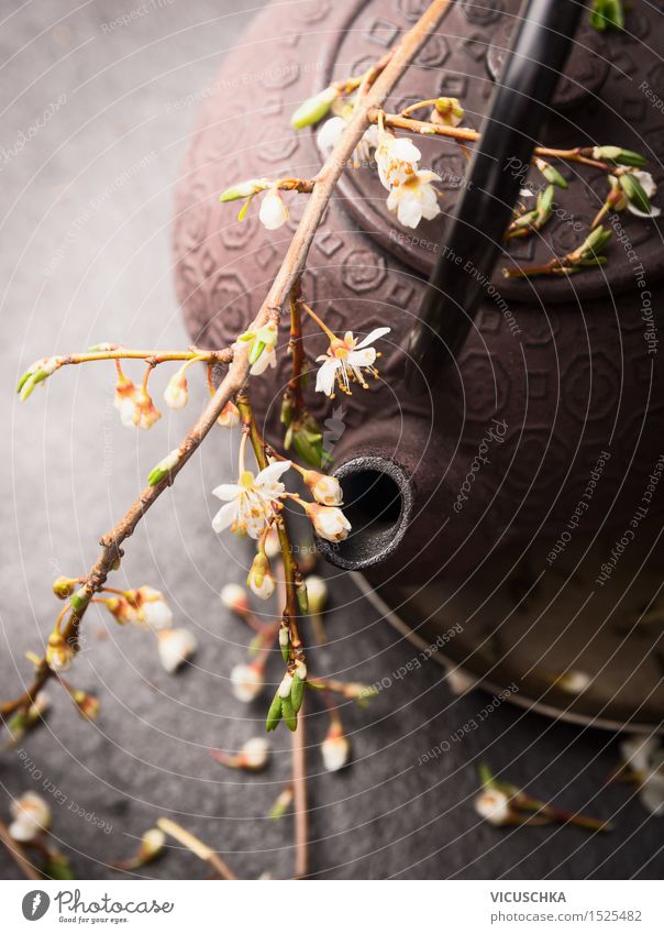 Iron teapot with fresh flowers Beverage Hot drink Tea Lifestyle Style Nature Leaf Blossom Design Chinese Cherry blossom Zen Teapot Tea house tea shop