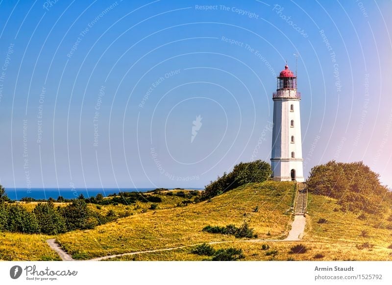 Lighthouse Hiddensee Vacation & Travel Tourism Trip Far-off places Summer Summer vacation Island Nature Landscape Beautiful weather Meadow Hill Coast Baltic Sea