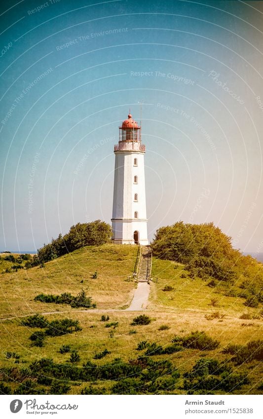 Lighthouse Hiddensee Vacation & Travel Tourism Trip Far-off places Summer Summer vacation Island Nature Landscape Beautiful weather Meadow Hill Coast Baltic Sea