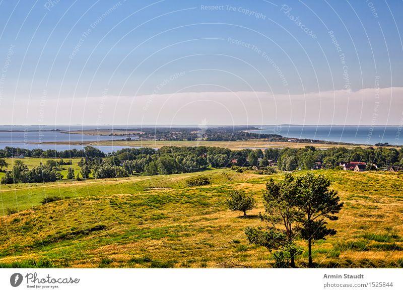 Landscape - Hiddensee Harmonious Contentment Relaxation Calm Vacation & Travel Tourism Trip Far-off places Summer vacation Ocean Island Environment Nature Plant