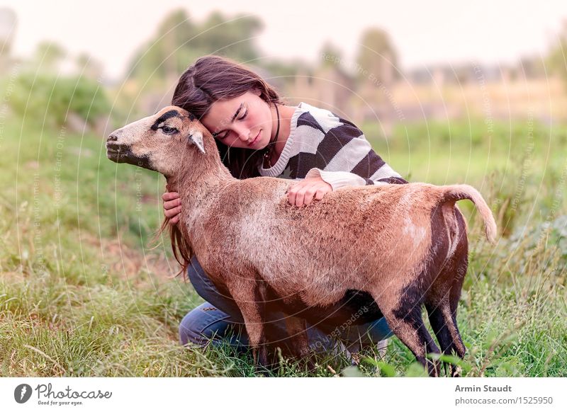 a young woman is stroking a sheep Lifestyle Happy Beautiful Harmonious Contentment Meditation Vacation & Travel Human being Feminine Young woman