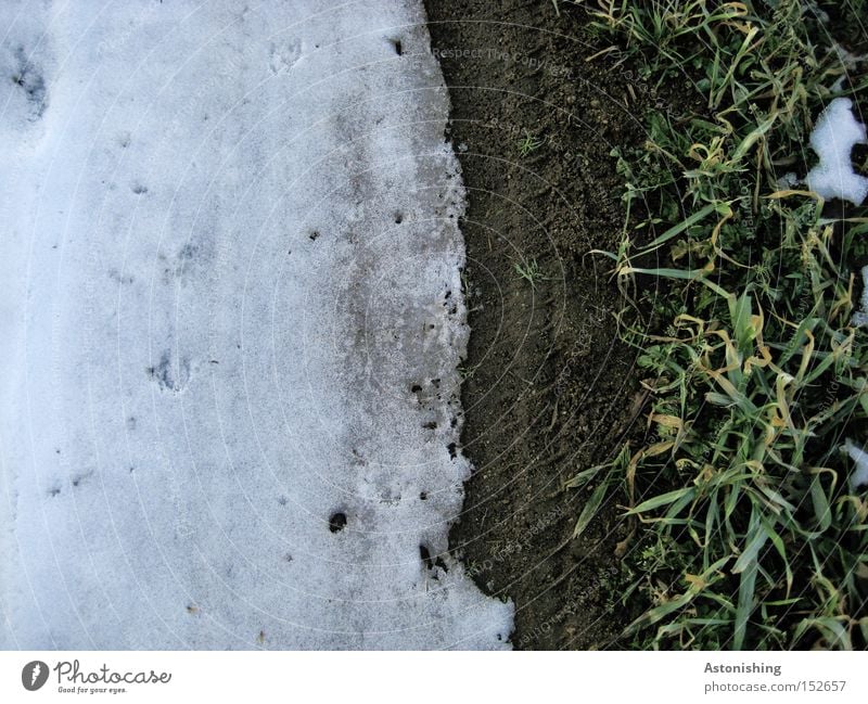 snow line Winter Snow Ice Frost Grass Meadow Dark Bright White Border Floor covering Ground Contrast Copy Space left Deserted Bird's-eye view Dirty Earth