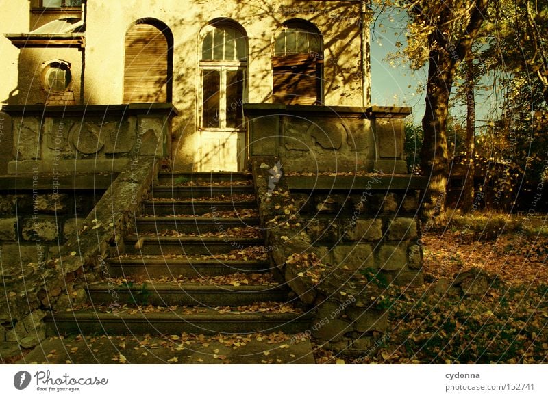 Villa R in autumn House (Residential Structure) Window Sun Old fashioned Vacancy Building Living or residing Time Transience Classical Facade Nostalgia Autumn