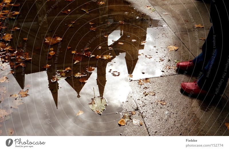 In the mirror of the past London England Puddle Water Reflection Mirror Footwear Feet Legs Red Floor covering Ground Leaf Autumn Westminster Abbey