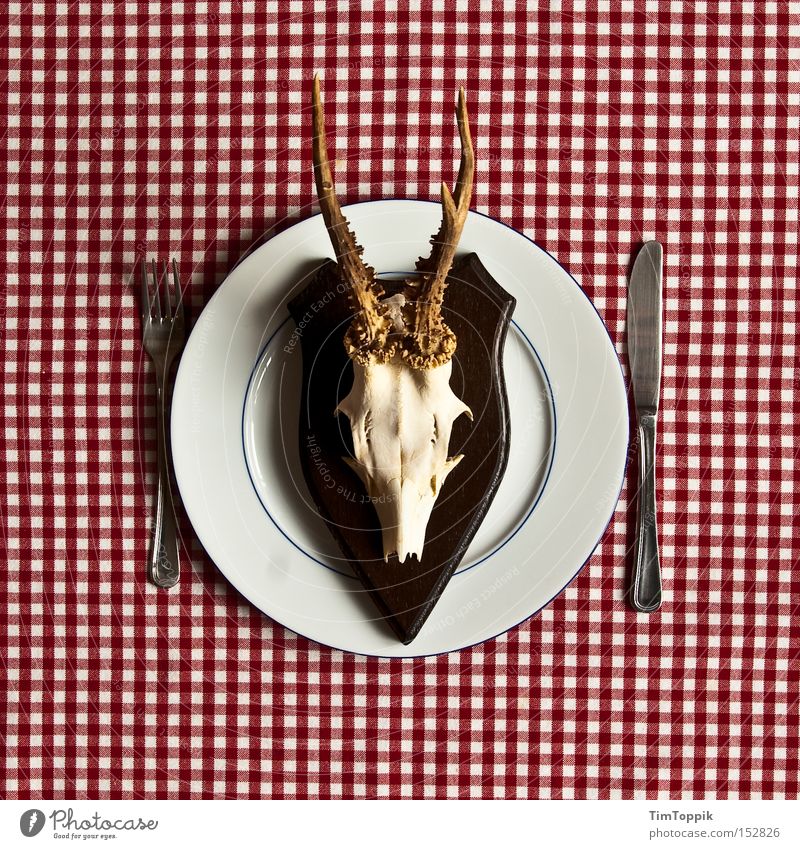 Meal! Antlers Nutrition Meat Roe deer Wild animal Vension Cutlery Knives Table-knife Fork Hunting Petit bourgeois Germany Restaurant Kitchen Gastronomy