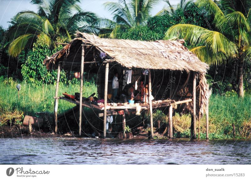 Cottage on stilts Venice Venezuela Indio South America Hut Pole orinoco River