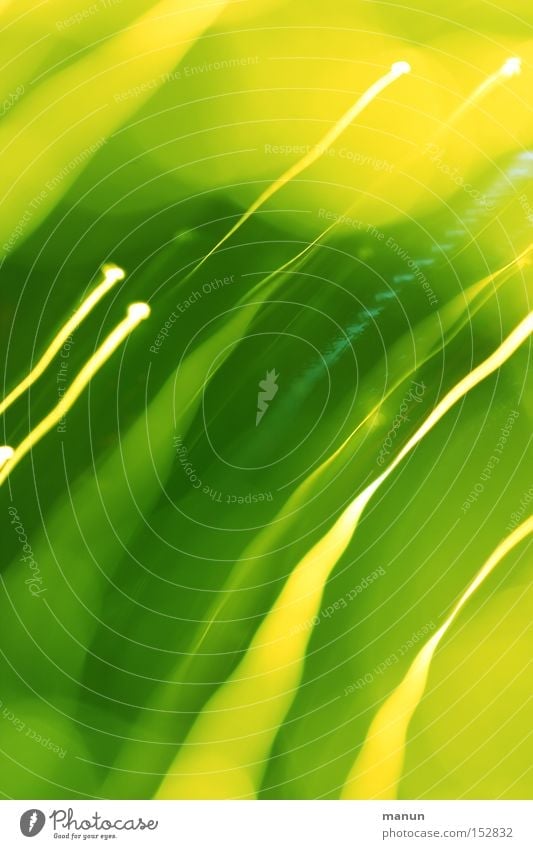 Trace of light Yellow Green Spring Positive Abstract Summery Background picture Light Pattern Aspire Success Contentment Lamp Modern Colour Light painting