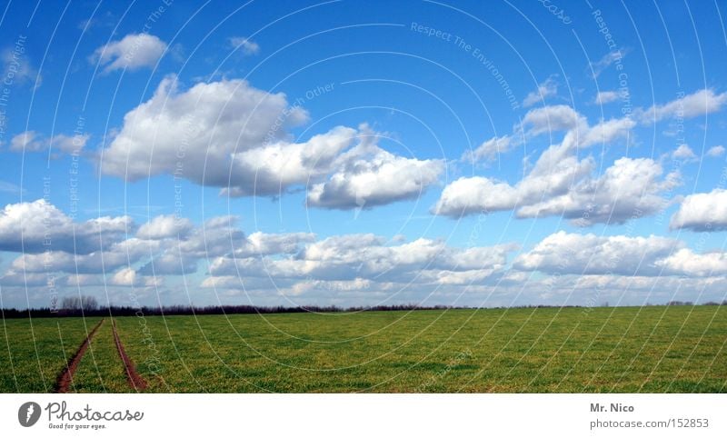 cloud track Sky Clouds Blue Weather Field Tracks Landscape Horizon Green Nature sky Germany Summer Environment Agriculture agriculturally Rural