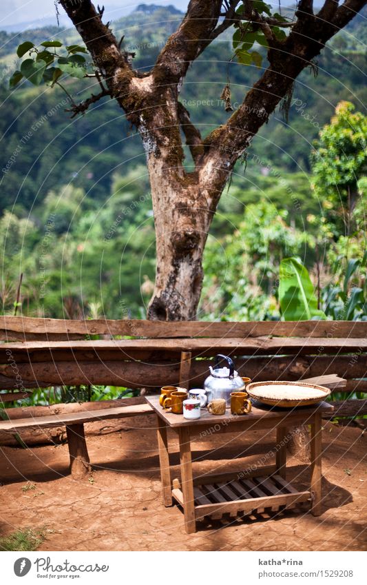 Coffee break between the coffee fields . Cup Calm Vacation & Travel Tourism Far-off places Summer Mountain Plant Beautiful weather Tree Virgin forest Hill