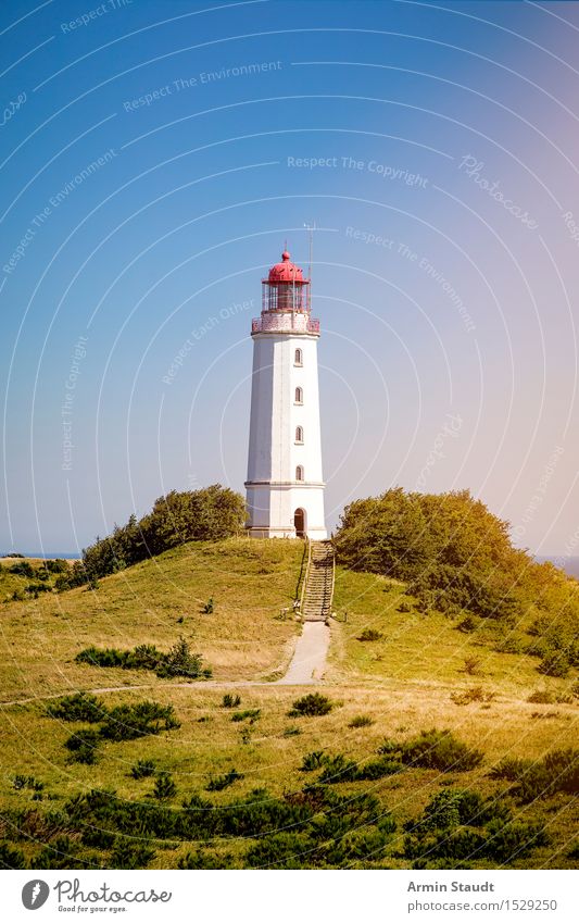 Lighthouse Hiddensee Vacation & Travel Tourism Trip Far-off places Summer Summer vacation Island Nature Landscape Cloudless sky Beautiful weather Tree Hill