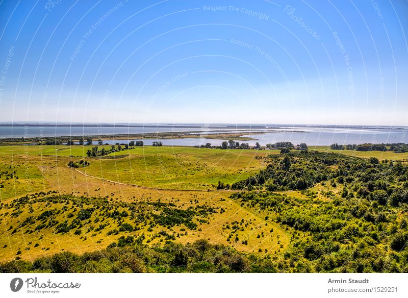 Landscape - Hiddensee Vacation & Travel Tourism Trip Summer Summer vacation Ocean Island Nature Cloudless sky Beautiful weather Bushes Meadow Hill Coast