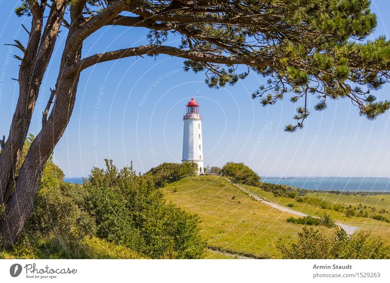 Lighthouse Hiddensee Vacation & Travel Tourism Trip Far-off places Summer Summer vacation Island Nature Cloudless sky Beautiful weather Tree Hill Coast