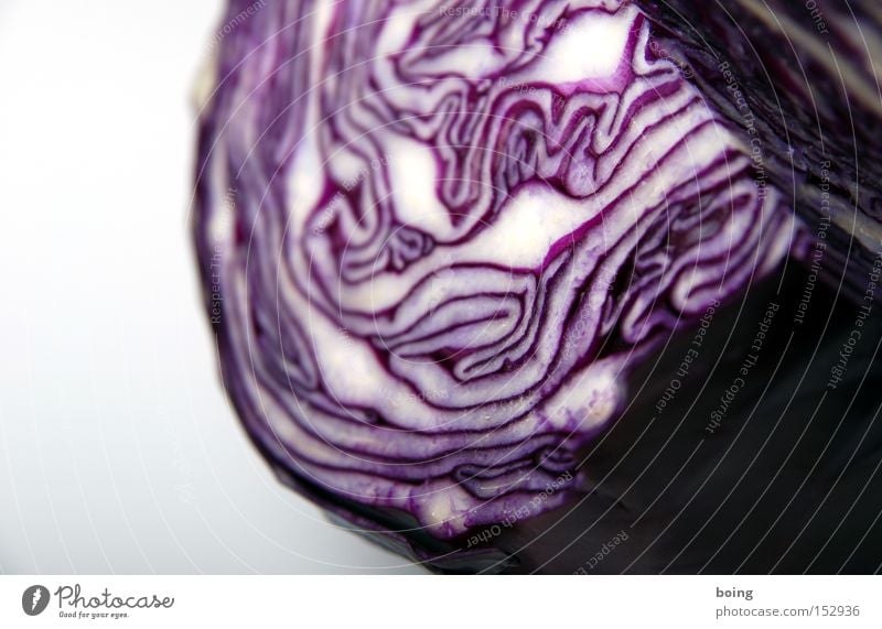 Wedding dress remains wedding dress Red cabbage Cabbage Detail Partially visible Vegetable Structures and shapes Wood grain Lettuce Side dish Raw Healthy