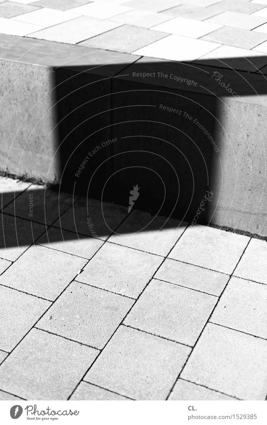 stage 1 Architecture Stairs Lanes & trails Ground Sharp-edged Growth Black & white photo Exterior shot Abstract Deserted Copy Space bottom Day Light Shadow
