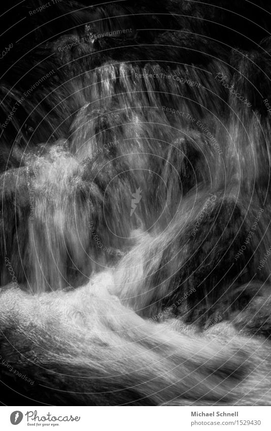 Tearing brook course Environment Nature Water Brook Aggression Natural Black White Power Might Determination Energy Resolve Speed Black & white photo