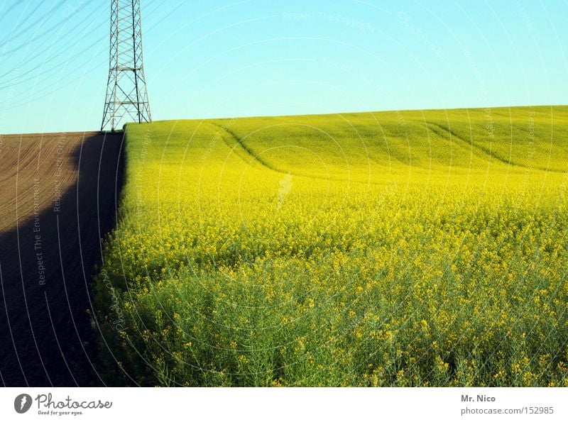 energy field Power Canola Canola field Field Harvest Agriculture Nature Yellow Green Border Raw materials and fuels Environment Electricity Energy industry