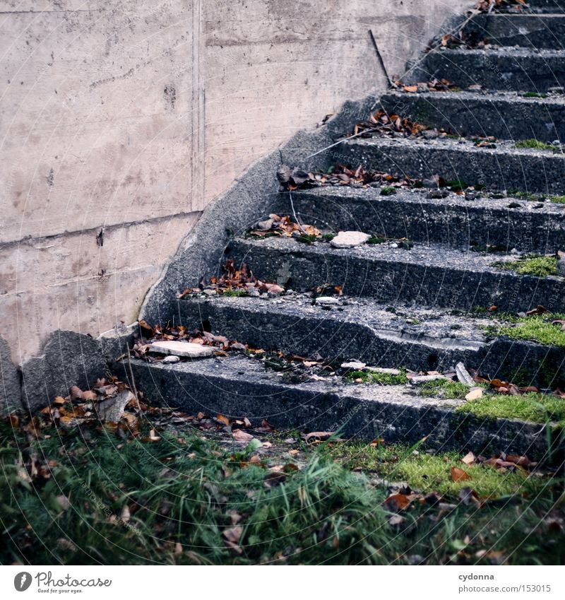 Climbing stairs Stairs Old Destruction Force of nature Time Transience Environment Broken Objective Function Moss Nature Derelict To break (something) Line