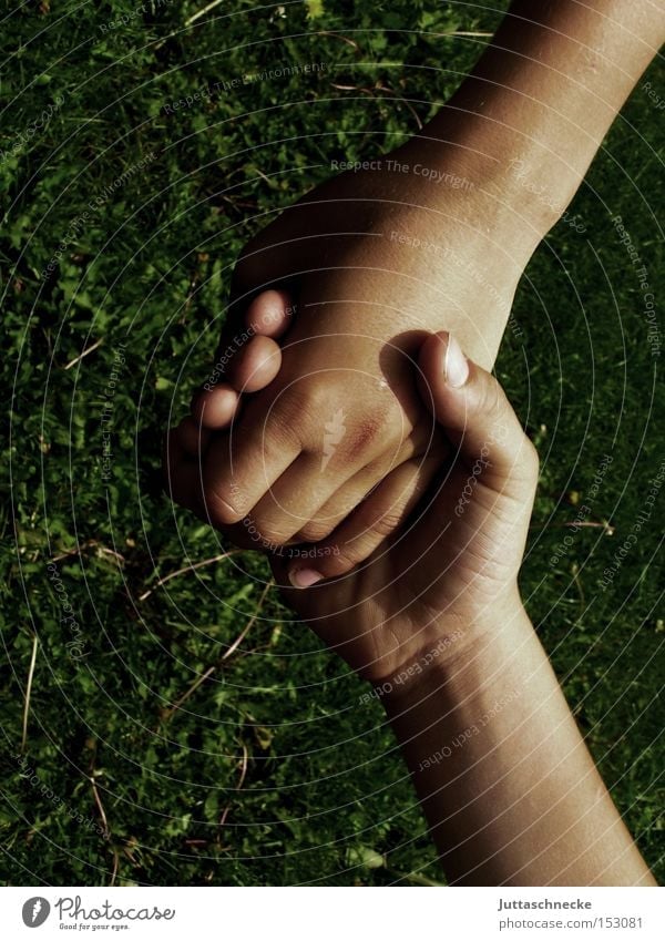 greater than Hand To hold on Handshake Hold hands Fingers Communicate Trust Child friendship together Juttas snail