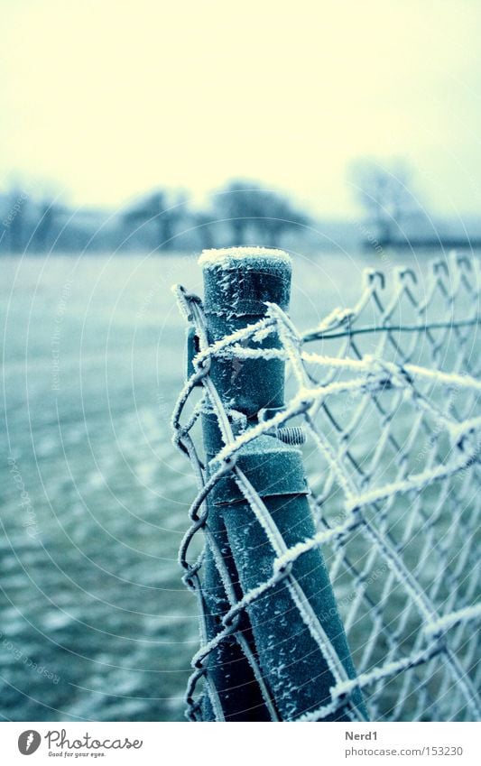 It's cold. Fence Wire netting Ice Winter White Green Hoar frost Wire netting fence Detail Section of image Subdued colour Fence post Cold