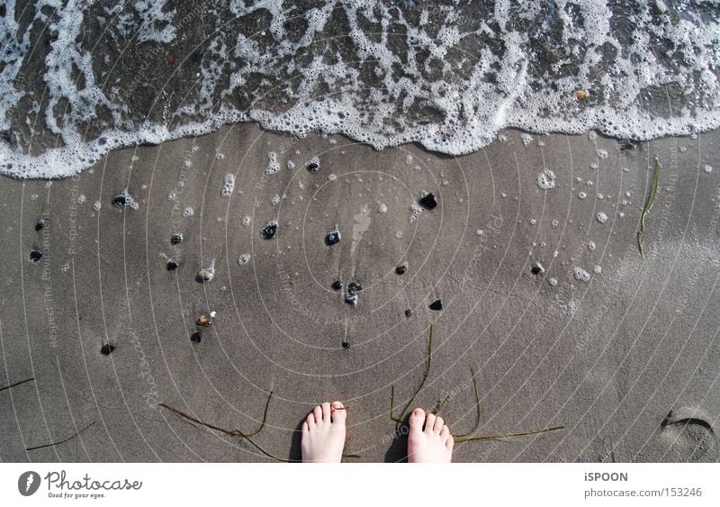 A Piede! Copenhagen Feet Beach Ocean Water Denmark Toes Sand North Sea Waves Foam Barefoot